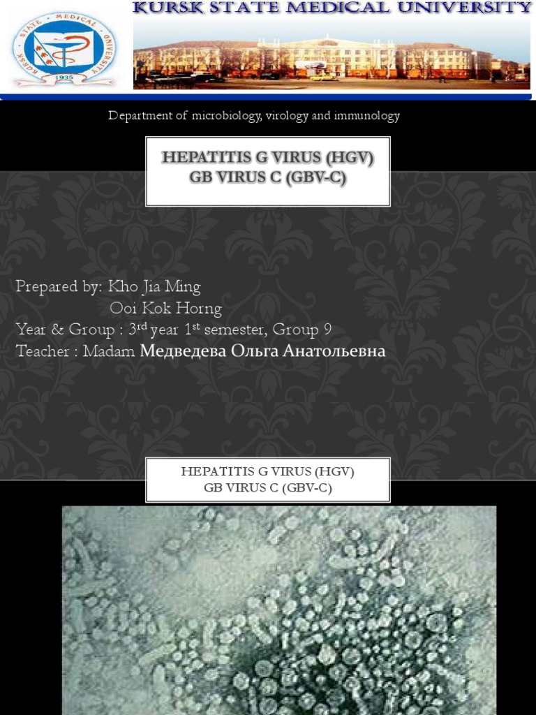 Hepatitis G Virus (HGV) Overview | PDF | Virus | Hepatitis