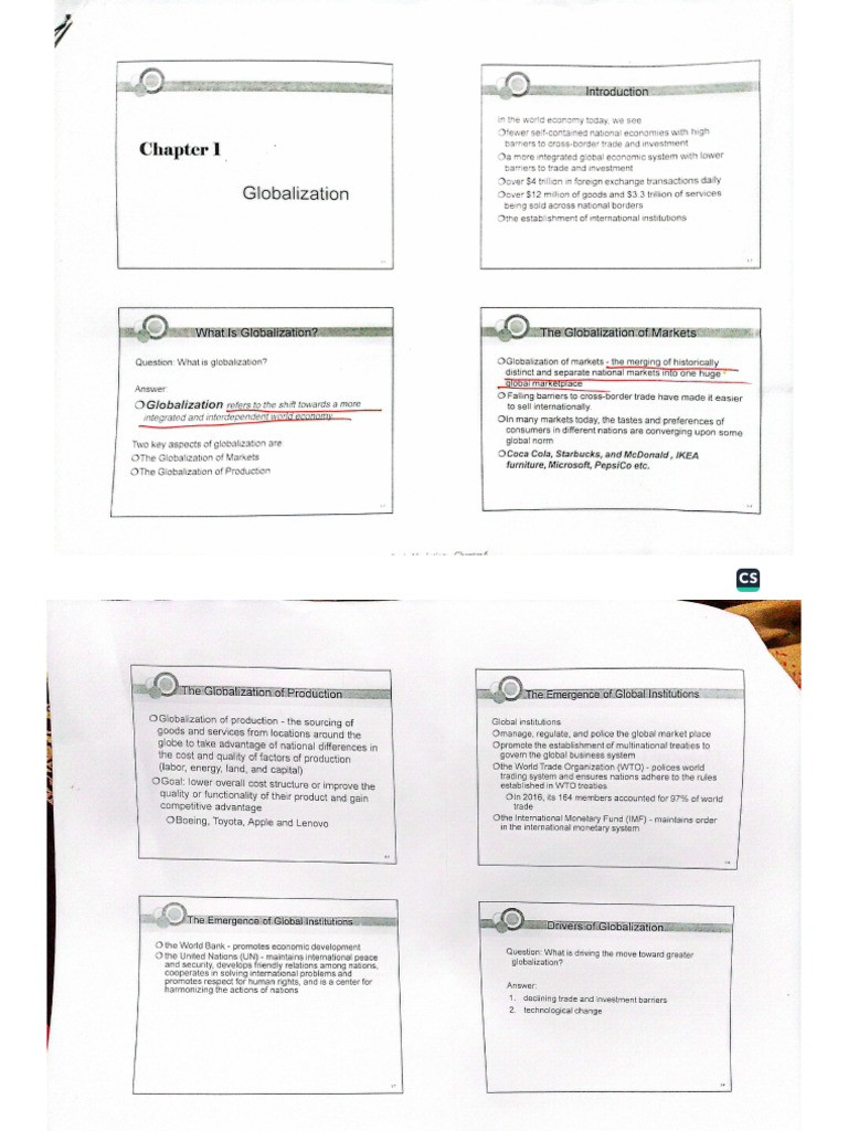IB 108 Chapter 01 | PDF