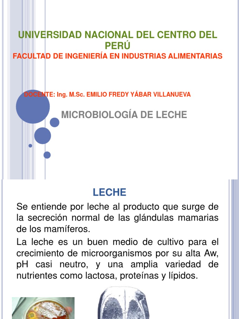 Microbiología de Leche | PDF | Leche | Las bacterias