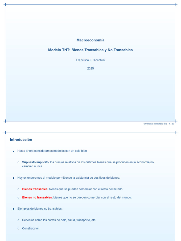 Modelo TNT: Análisis de Bienes Transables | PDF | Precios | Bienes