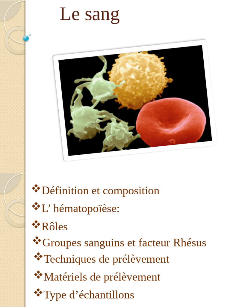 Comprendre le sang : composition et rôles | PDF | Globule rouge ...