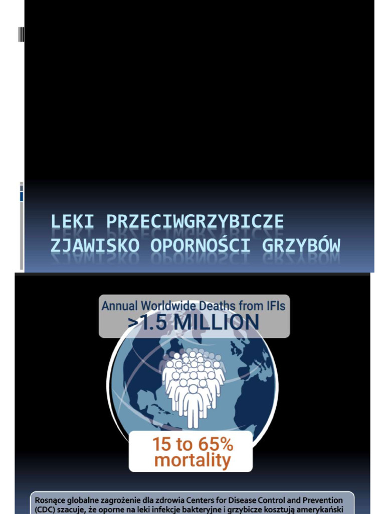 Zrzut Ekranu 2025 05 12 100025 | PDF