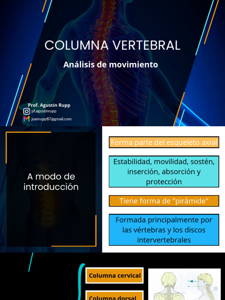 Estructura y Movimiento de la Columna Vertebral | PDF | Vértebra ...
