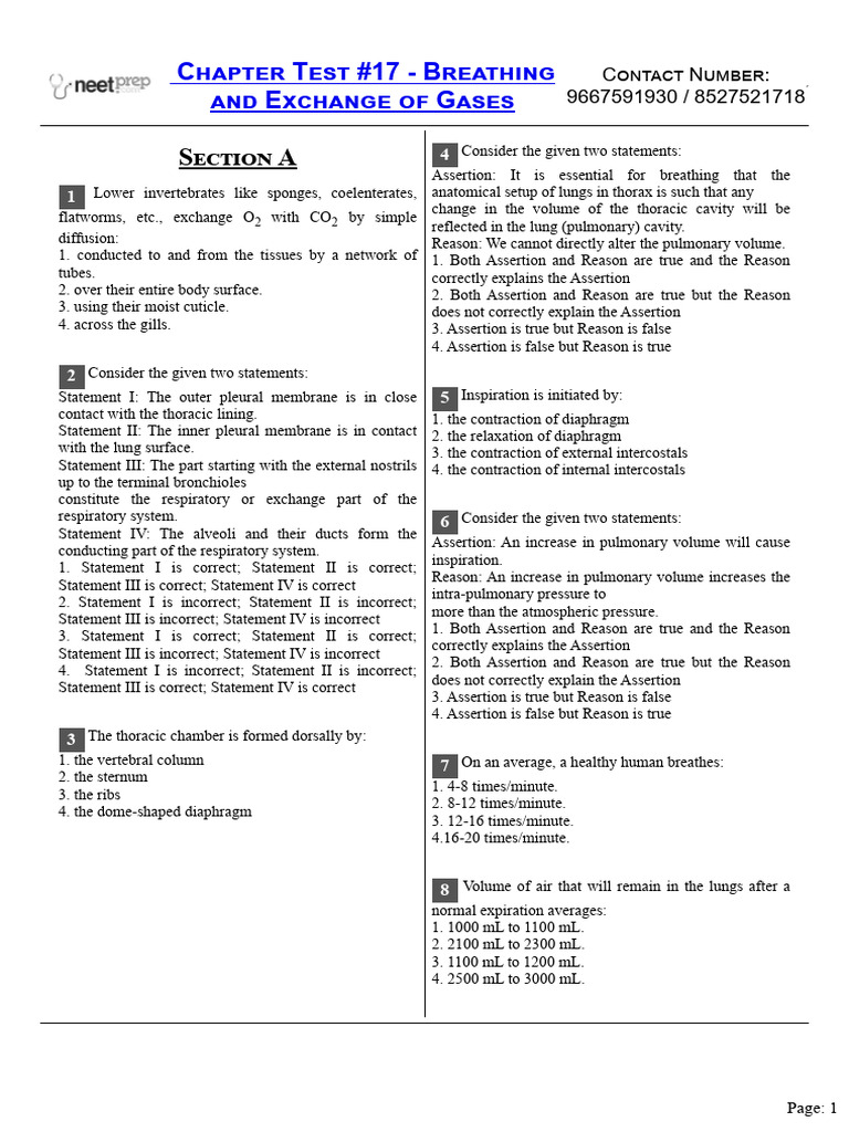 Chapter Test #17 - Breathing and Exchange of Gases | PDF | Respiratory ...