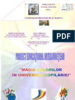 0 Proiect Educational Magia Culorilor in Universul Copilariei 2012 Sem II