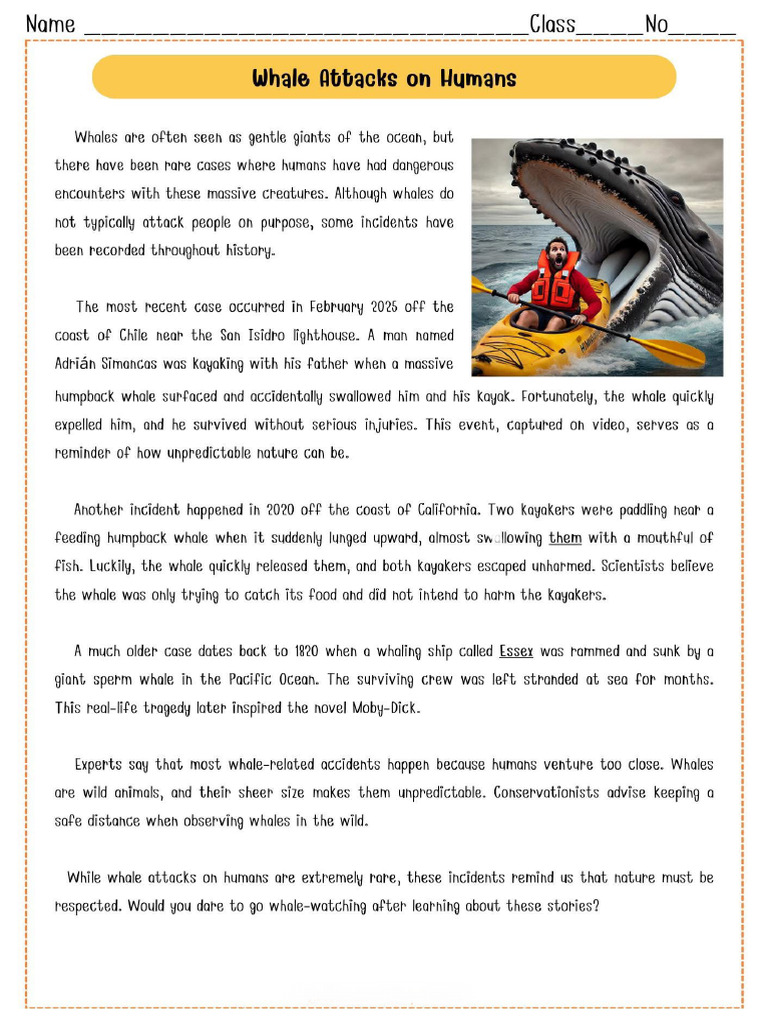 Reading | PDF