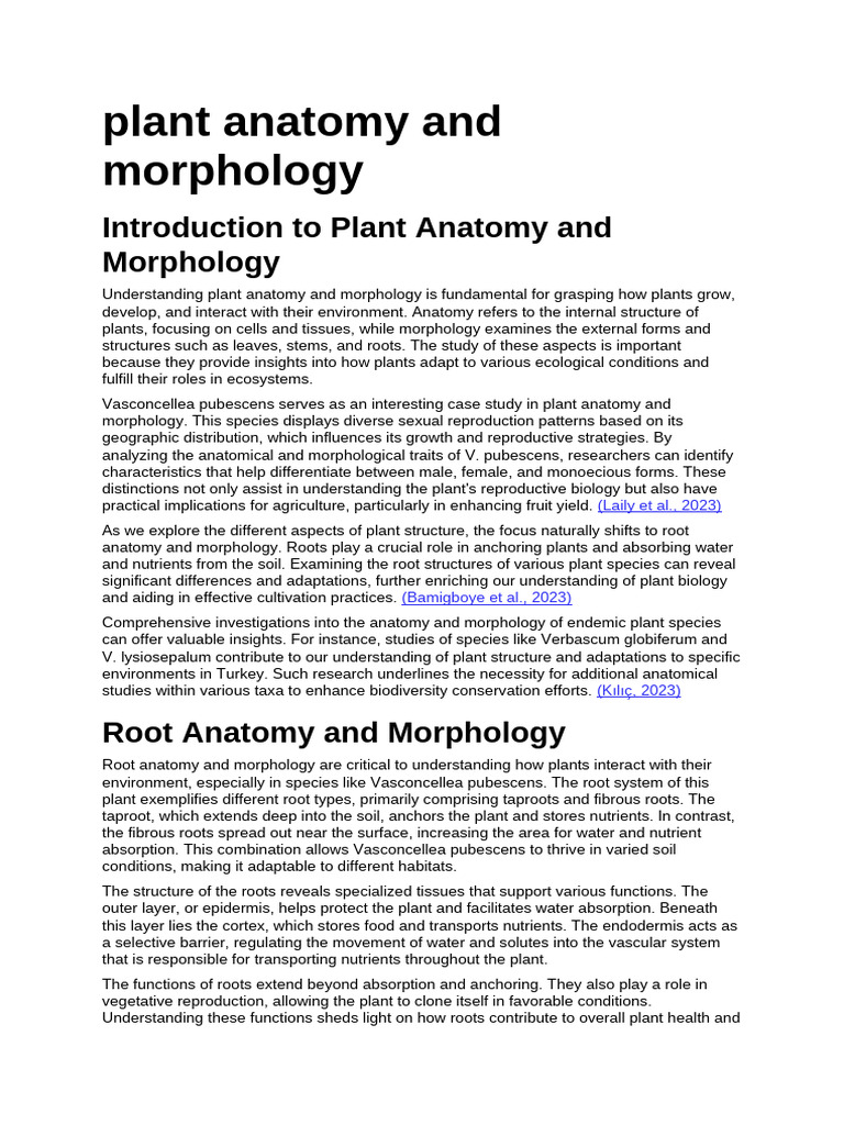 Plant Anatomy and Morphology Overview | PDF | Leaf | Plant Stem