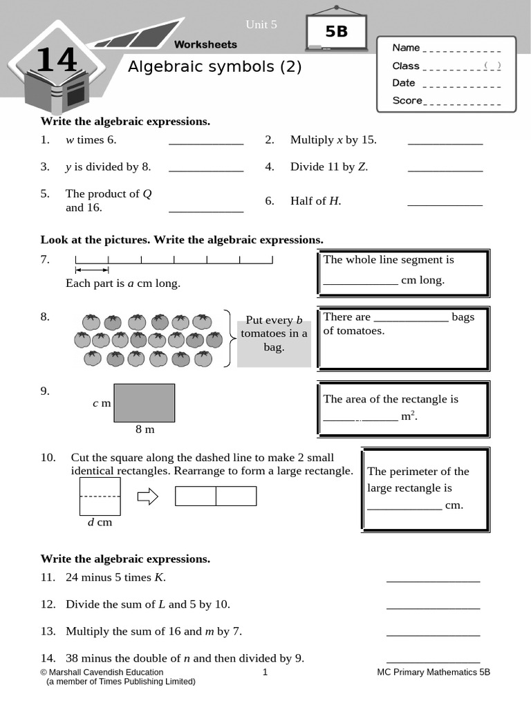 Algebraic Expressions Practice Exercises | PDF