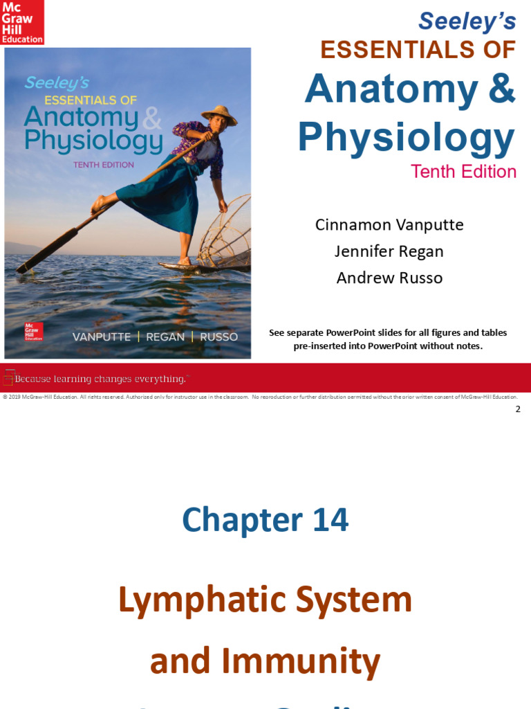 Lymphatic System and Immunity Overview | PDF | Lymphatic System | Antibody