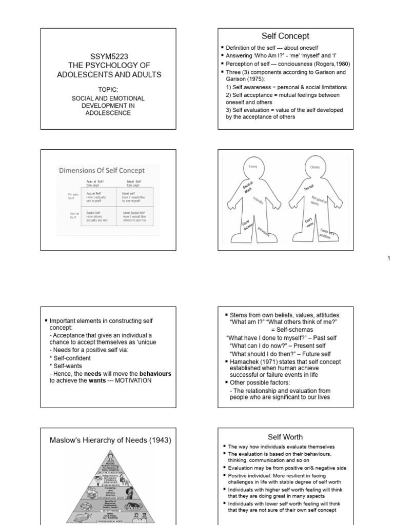Adolescent Social and Emotional Development | PDF | Identity (Social ...