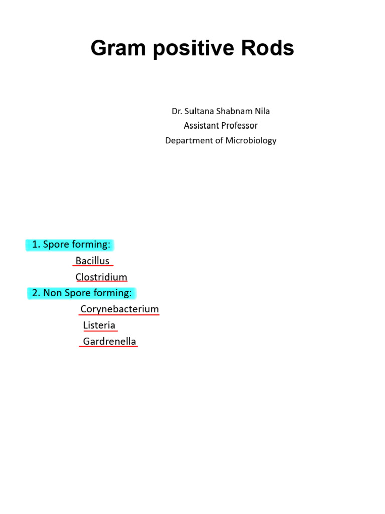 Gram Positive Rod | PDF | Immunology | Medical Specialties