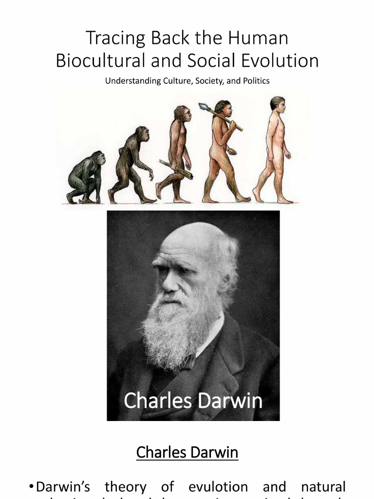 Human Evolution | PDF