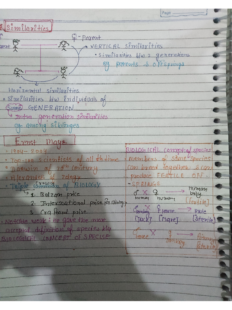 Li.w.. Notes Part 2 Times | PDF