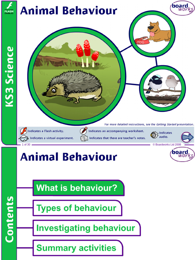 Animal Behavior and Responses Explained | PDF | Ethology | Instinct