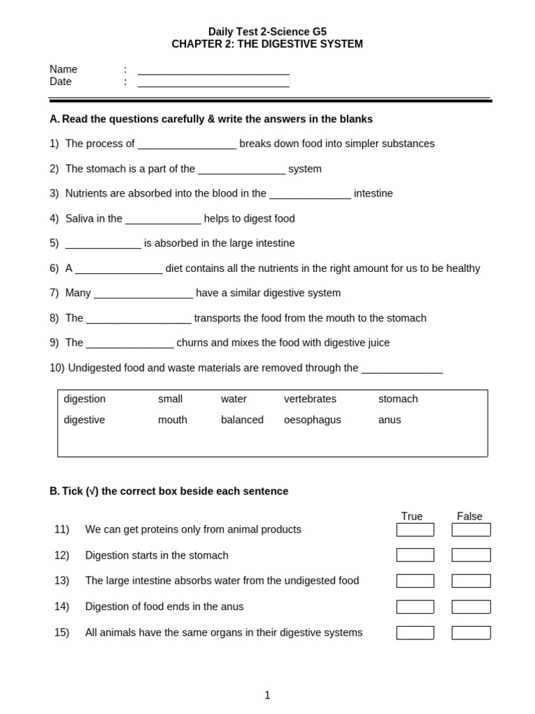 Daily Test 2 Science G5 | PDF