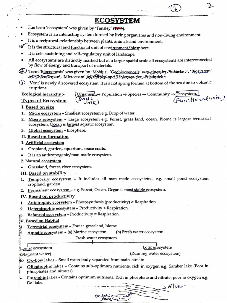 Ecosystem Notes 1 | PDF