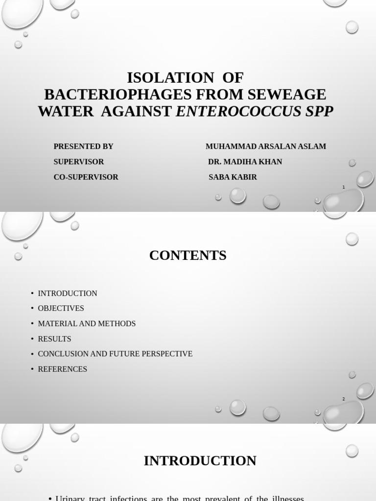 Arsalan - Isolation of Bacteriophages From Sewage Water Against ...