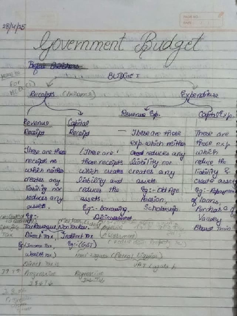 Government Budget | PDF