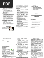 Download Triptico de Certificado de Deposito y Warrant by Joseph Reyes Camus SN96052445 doc pdf