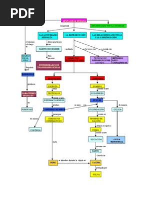Sexualidad Humana Mapa Conceptual