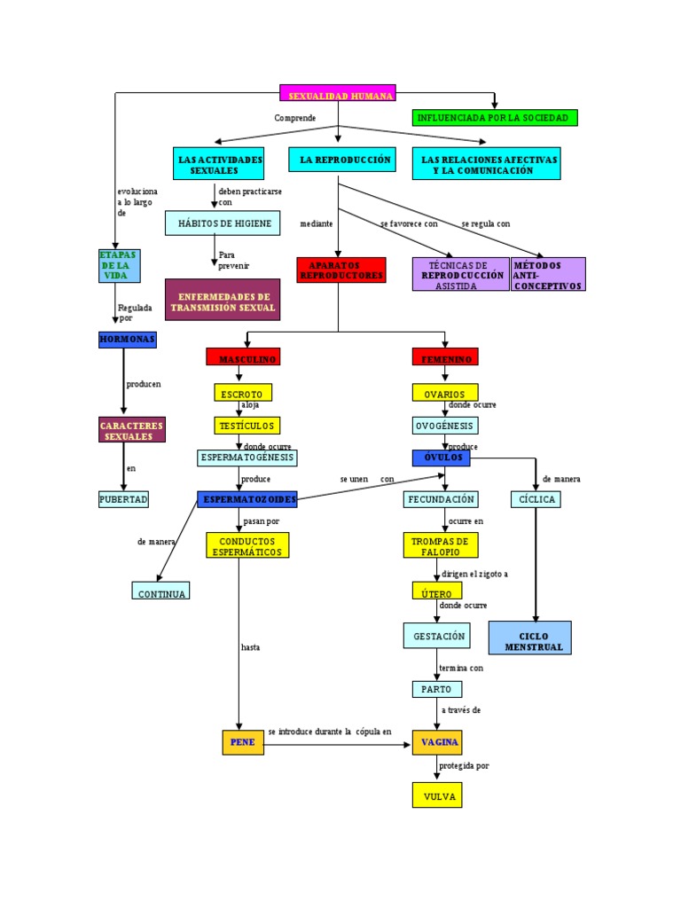 Sexualidad Humana (Mapa Conceptual)
