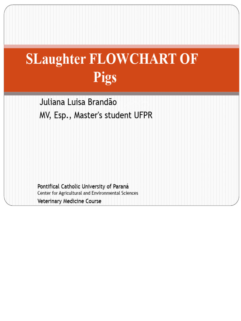Pig Slaughter Process Flowchart | PDF | Pneumonia | Animal Slaughter