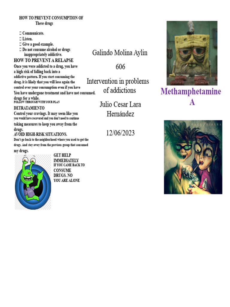 Preventing Methamphetamine Addiction | PDF | Methamphetamine ...