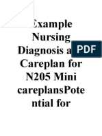 Example Nursing Diagnosis and Careplan For N205 Mini Careplanspote Ntial For