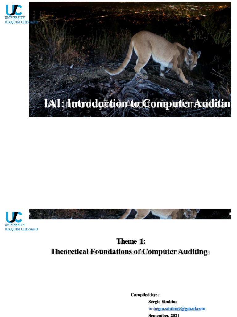 Foundations of Computer Auditing | PDF | Audit | Business