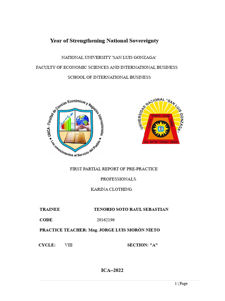 First Partial Report of Pre-Professional Internships | PDF