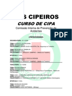 curso_cipa