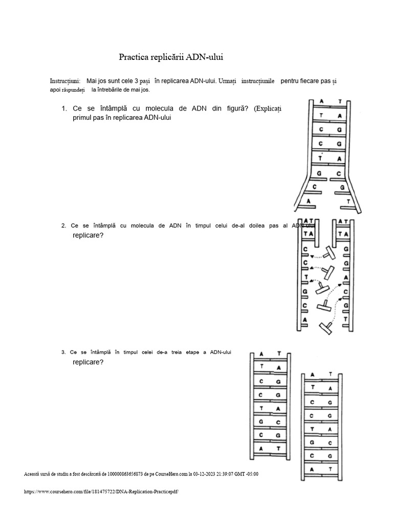 Replicarea ADN Exercitii PDF | PDF