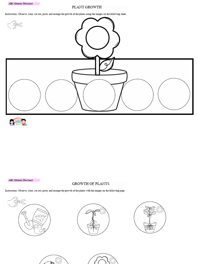 Plant Growth Worksheet | PDF