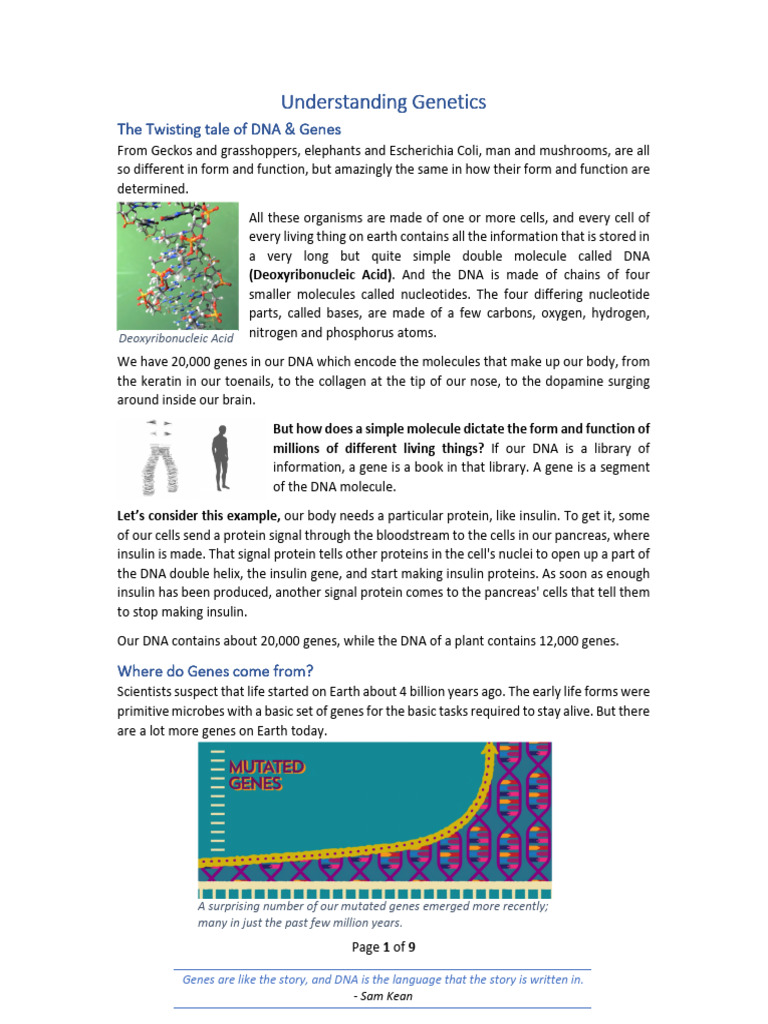 Genetics: DNA, Genes, and Mutations Explained | PDF | Genotype ...
