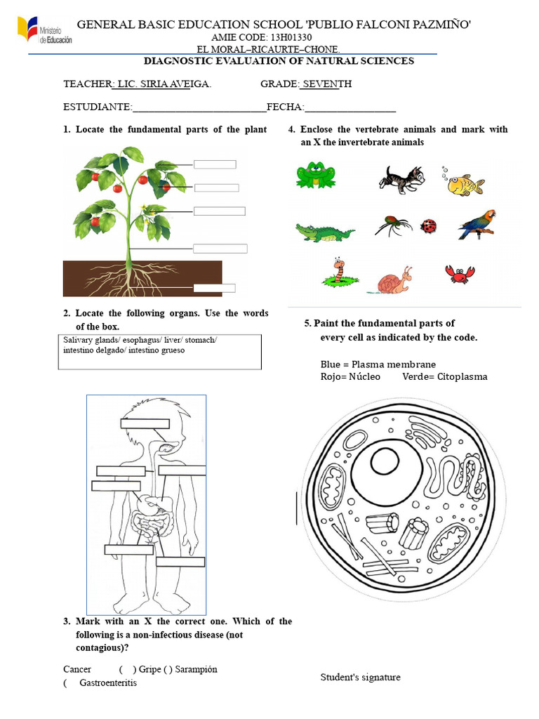 Seventh Grade Natural Sciences Evaluation | PDF