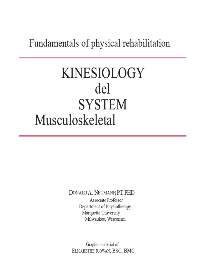 Fundamentals of physical rehabilitation | PDF | Physical Therapy | Hand
