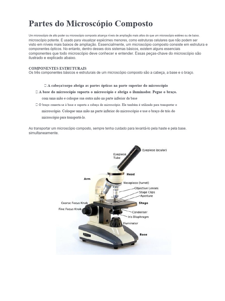 Partes e Funções do Microscópio Composto | PDF | Luz