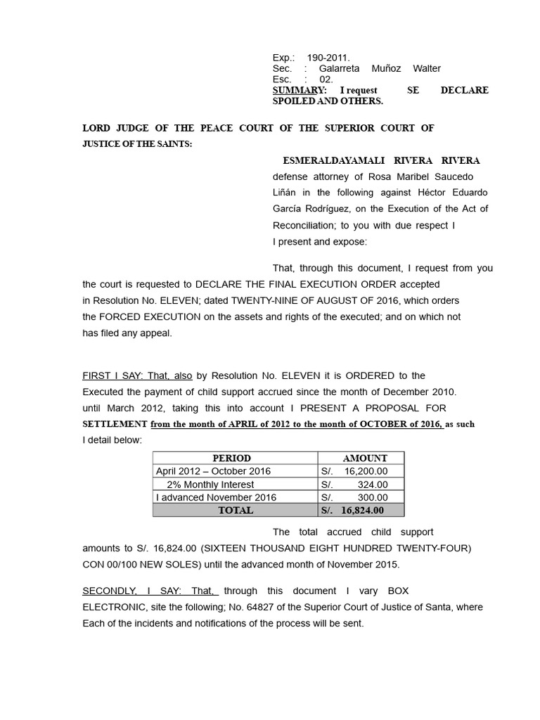 Child Support Execution Request Document | PDF | Justice | Crime & Violence