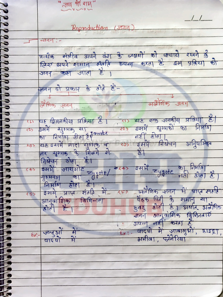 जनन (Reporduction) Class Notes | PDF | Testicle | Male Mammals