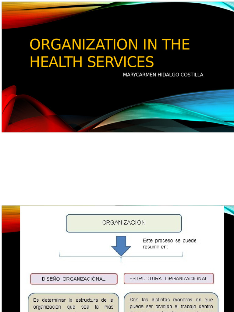Health Services Organizational Design Guide | PDF | Division Of Labour ...