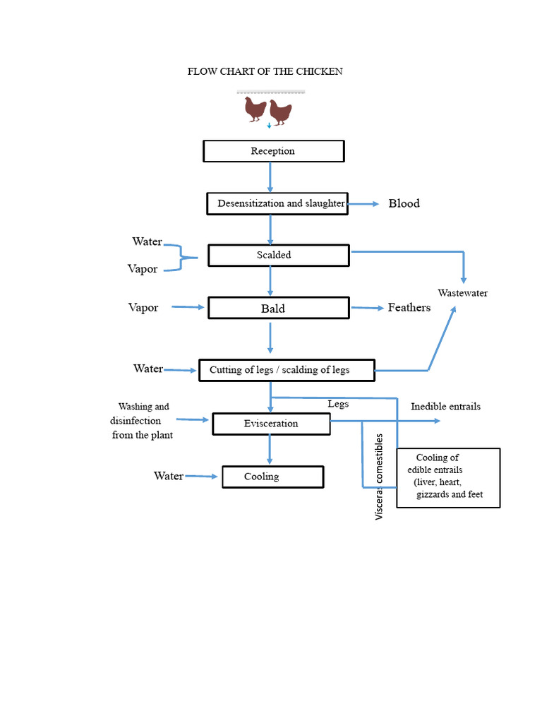 Chicken Processing Flow Chart | PDF
