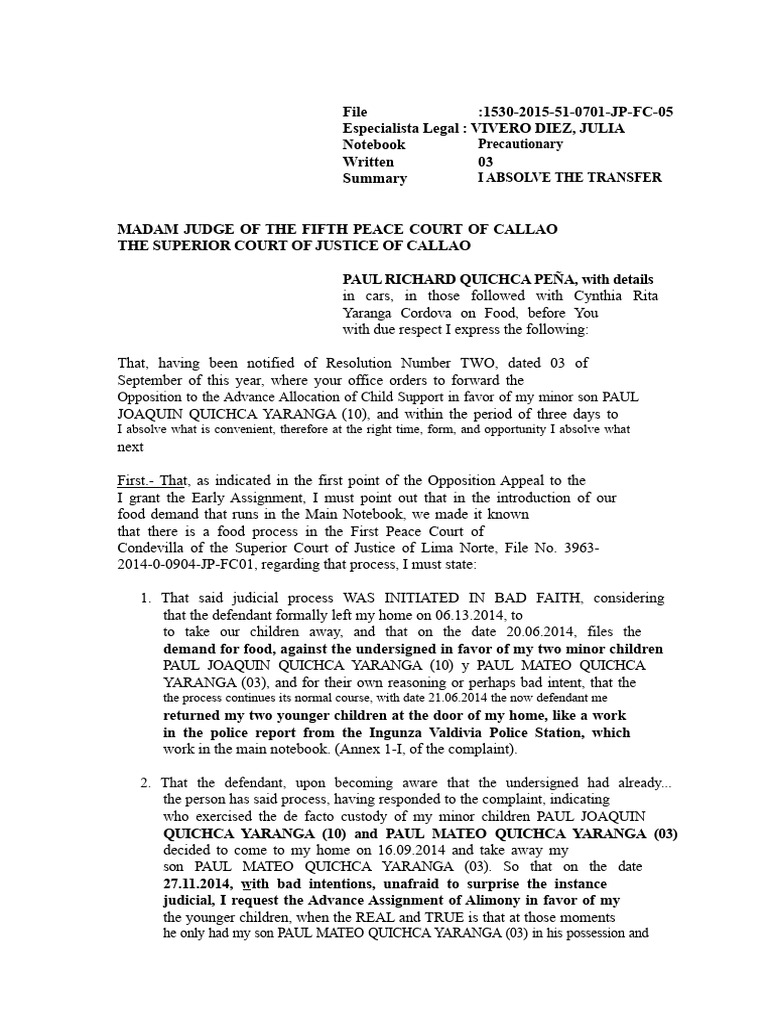 Child Support Legal Opposition Summary | PDF | Children's Rights ...