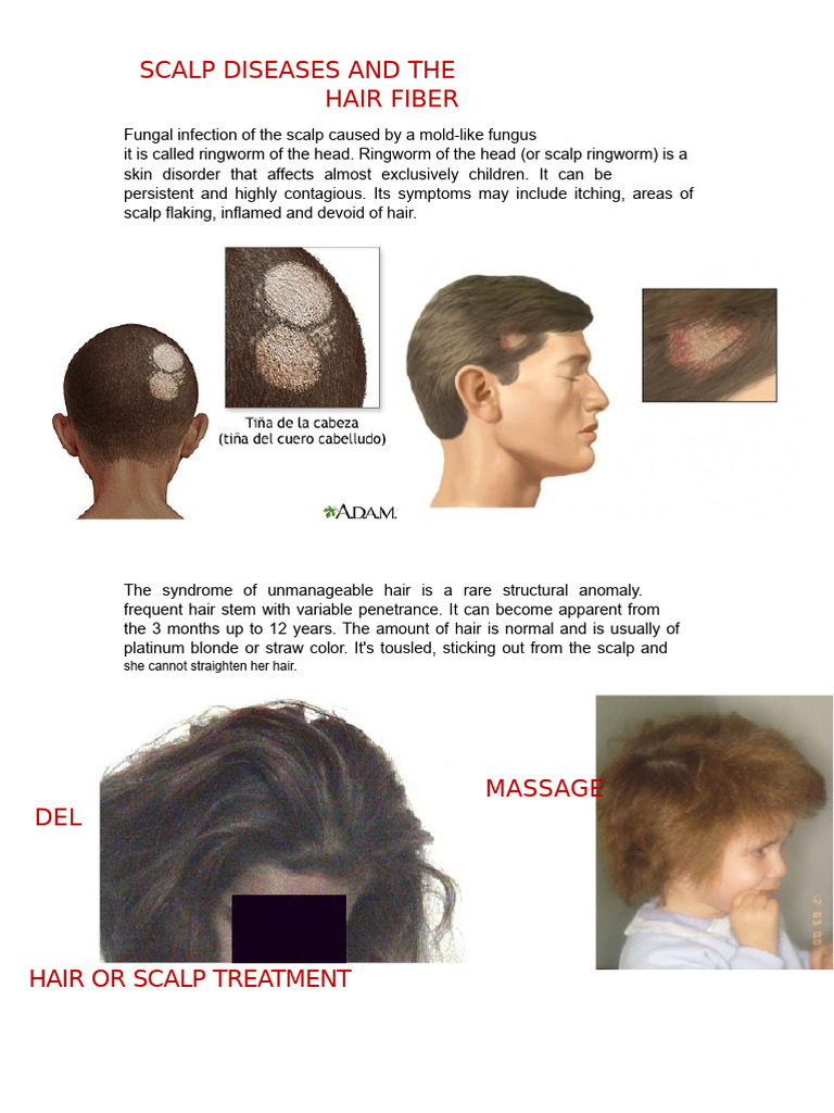 scalp | PDF | Diseases And Disorders
