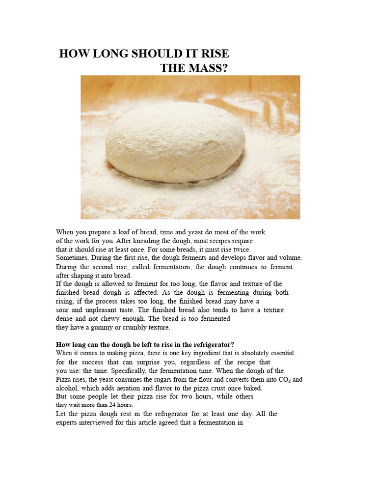 Bread Dough Rising Times Explained | PDF | Breads | Fermentation