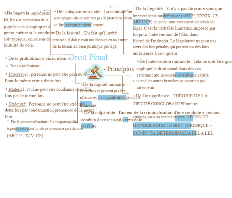Principes du Droit Pénal et Responsabilité | PDF | Loi criminelle | Loi