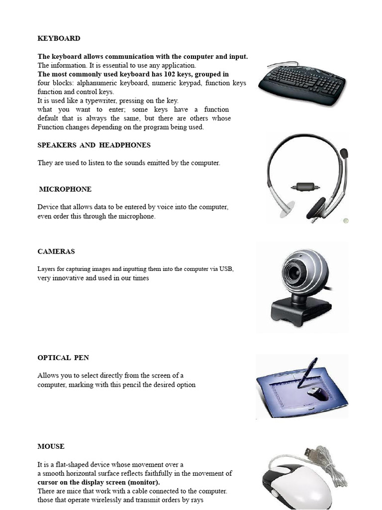 Computer Peripheral Devices Overview | PDF | Computer Keyboard ...