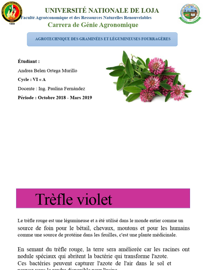 Trèfle Rouge : Culture et Gestion Agronomique | PDF | Fumier | Fourrage