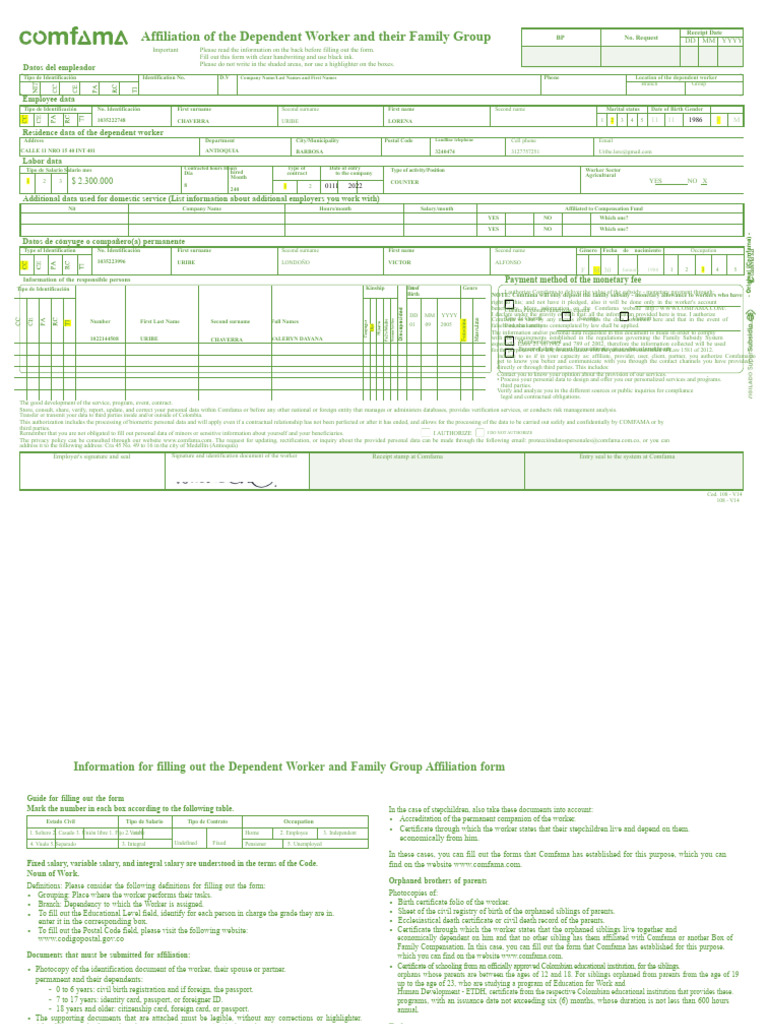 Family Subsidy Application Form | PDF | Birth Certificate | Identity ...