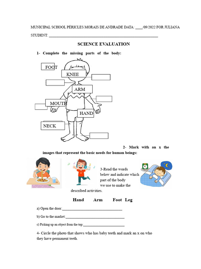 Assessment of Sciences 1st Year | PDF