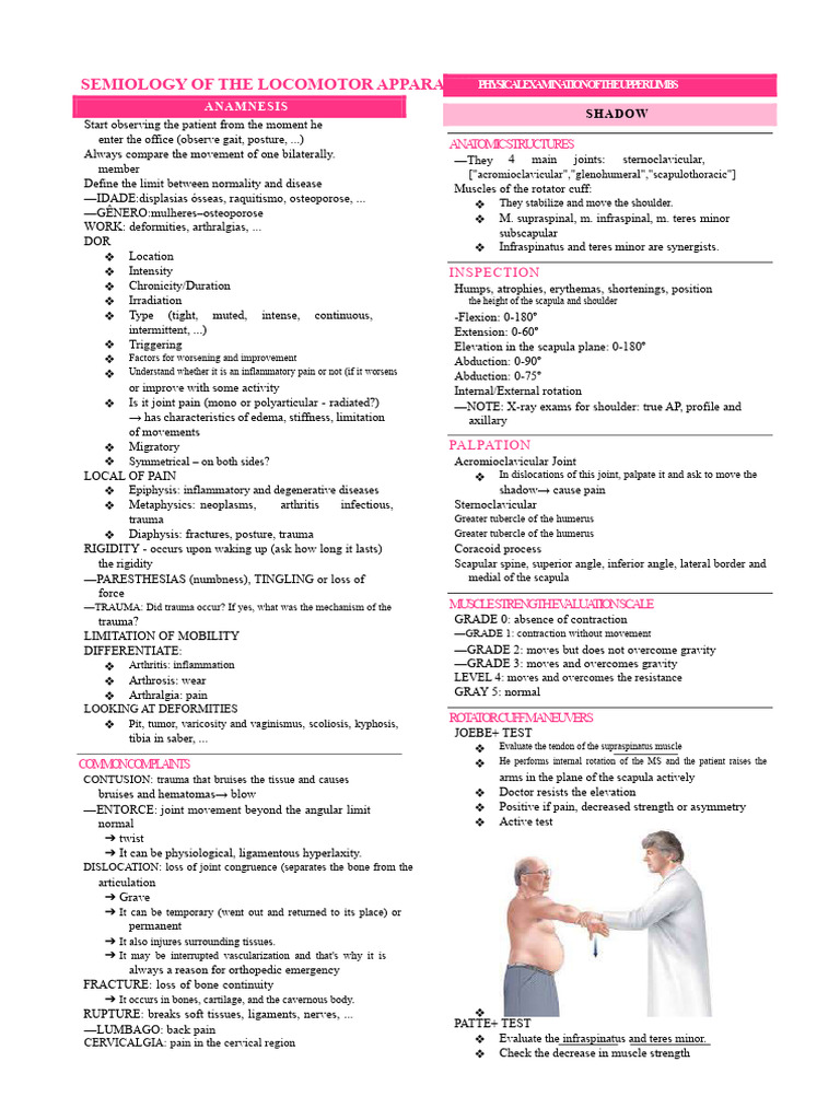 Upper Limbs Physical Examination Guide | PDF | Knee | Anatomical Terms ...